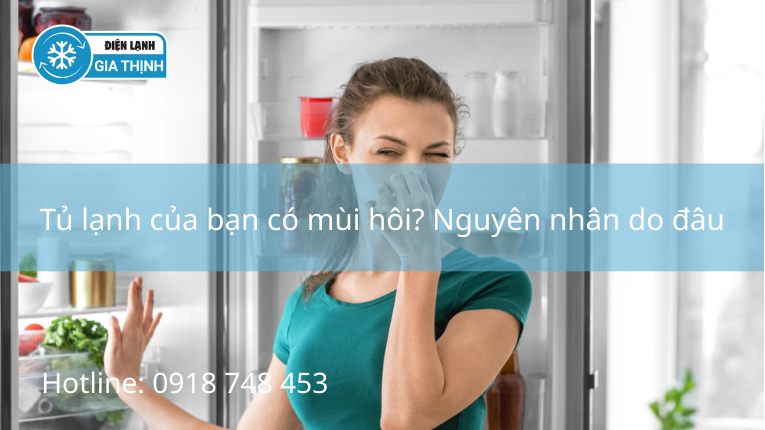 Tủ lạnh của bạn có mùi hôi? Nguyên nhân và cách giải quyết triệt để