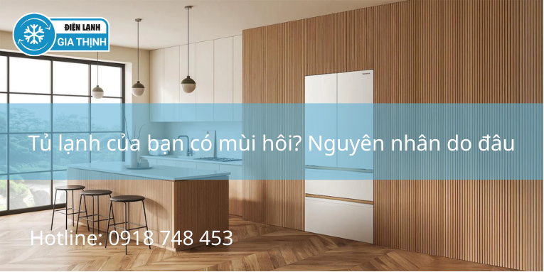 Có nên mua tủ lạnh Toshiba ở thời điểm hiện tại 2026?